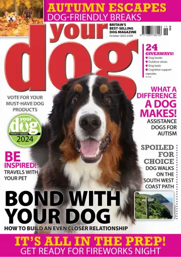 Your Dog - 07 sept. 2023