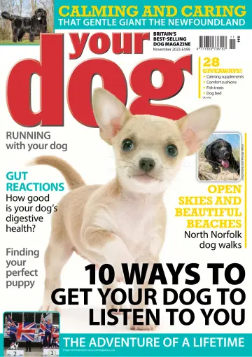 Your Dog - 05 oct. 2023