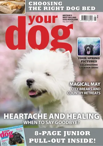 Your Dog - 04 apr 2024