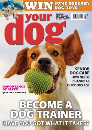 Your Dog - 02 May 2024