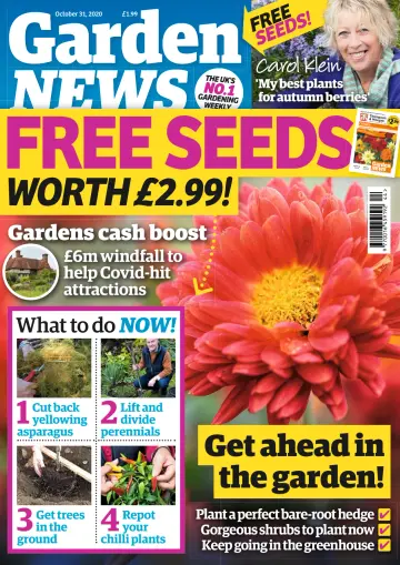 Garden News (UK) - 27 Oct 2020
