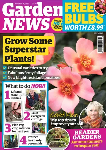 Garden News (UK) - 17 Nov 2020
