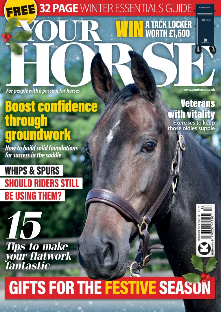 Your Horse (UK)
