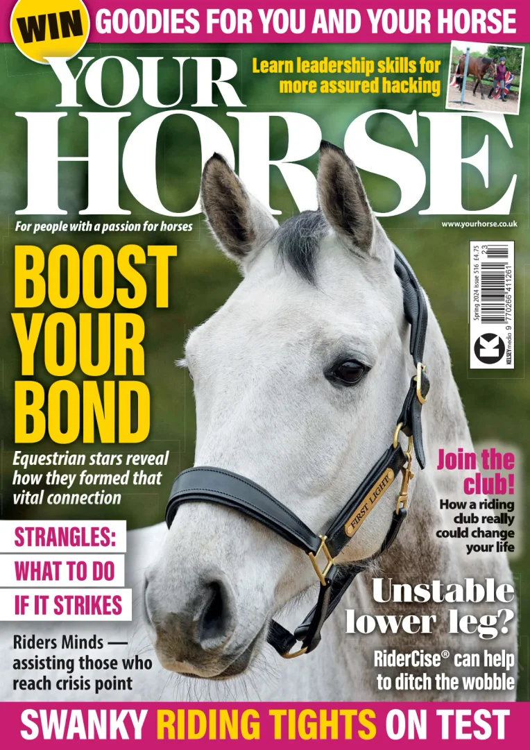 Your Horse (UK)