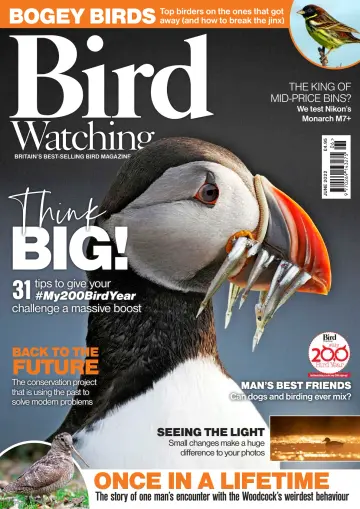 Bird Watching (UK) - 1 Jun 2022