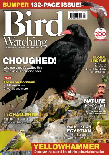 Bird Watching (UK) - 1 Aug 2022