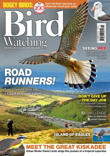 Bird Watching (UK) - 01 out. 2022