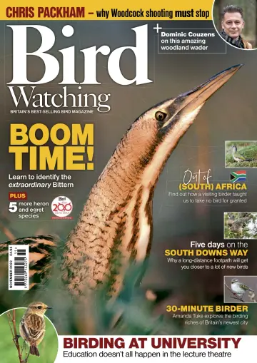 Bird Watching (UK) - 01 nov 2022