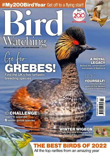Bird Watching (UK) - 1 Feb 2023
