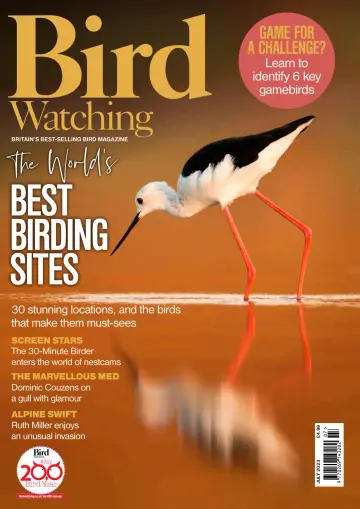Bird Watching (UK) - 01 七月 2023