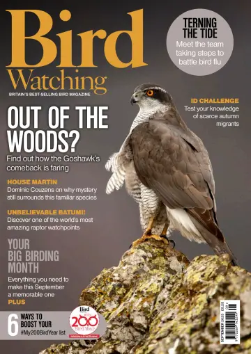 Bird Watching (UK) - 1 Sep 2023