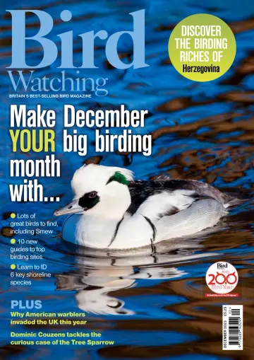 Bird Watching (UK) - 1 Dec 2023