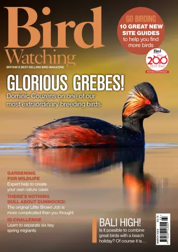 Bird Watching (UK) - 1 Mar 2024