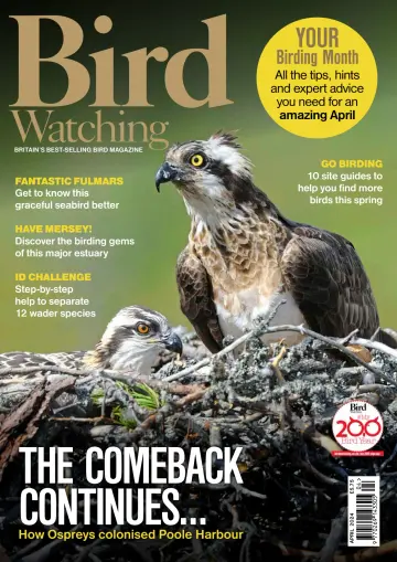 Bird Watching (UK) - 1 Apr 2024