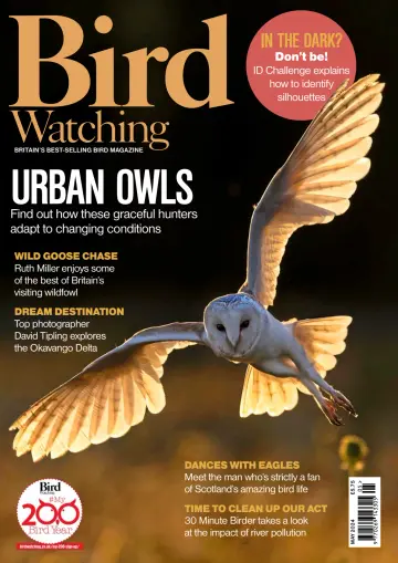 Bird Watching (UK) - 01 май 2024