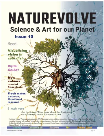 NatureVolve - 11 二月 2022