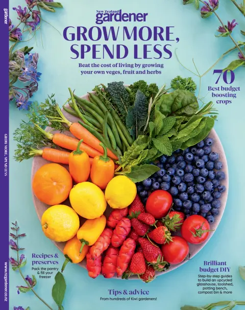 Grow More Save More Subscriptions - PressReader