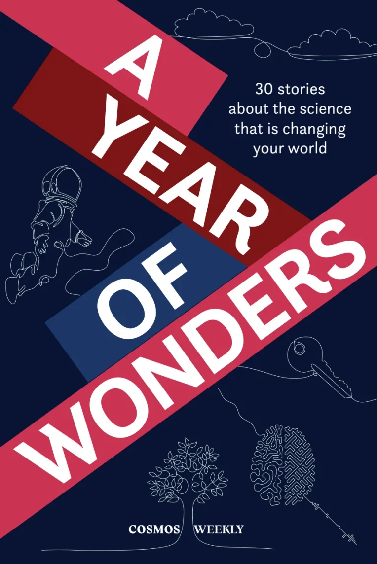 A Year of Wonders