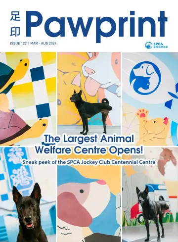 Pawprint Magazine: The Largest Animal Welfare Centre Opens - 28 2월 2024