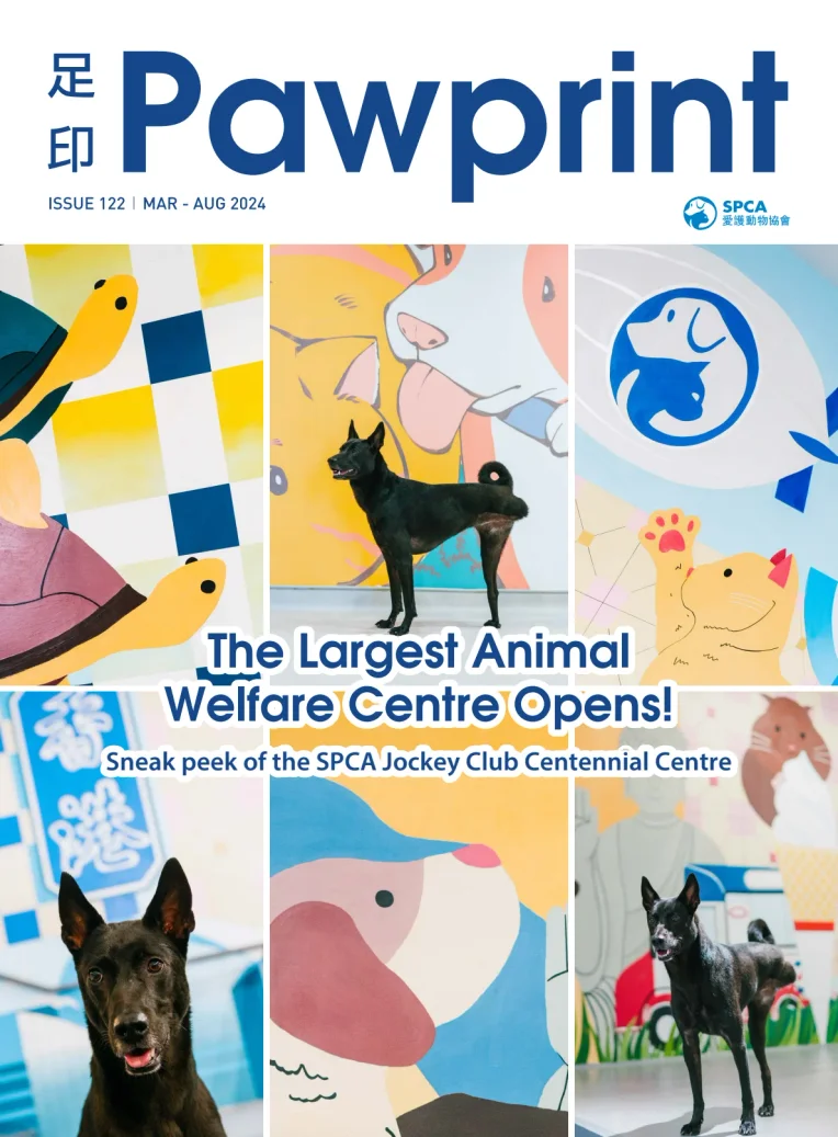 Pawprint Magazine: The Largest Animal Welfare Centre Opens