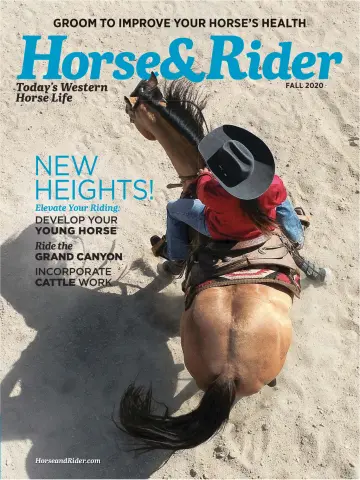 Horse & Rider - 18 Aug 2020