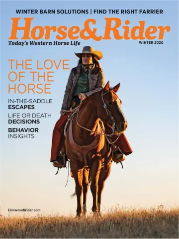 Horse & Rider - 10 Nov 2020