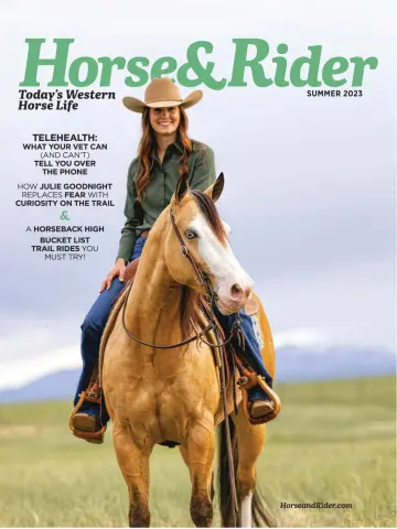 Horse & Rider - 6 Jul 2023