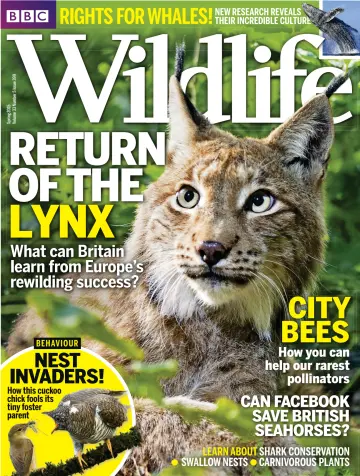 BBC Wildlife Magazine - 15 Apr 2015