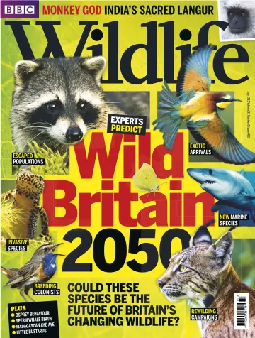 BBC Wildlife Magazine - 8 Jul 2015