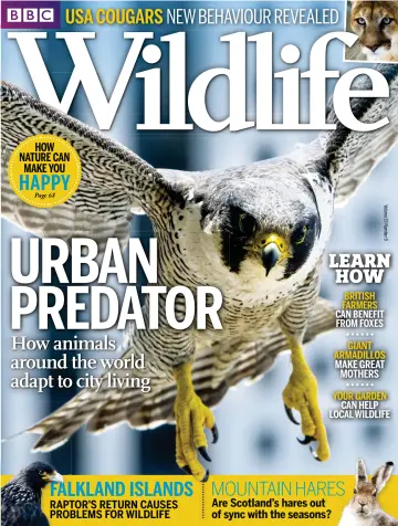 BBC Wildlife Magazine - 5 Aug 2015