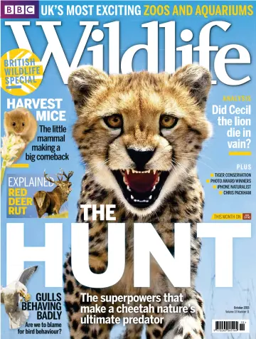 BBC Wildlife Magazine - 30 Sep 2015