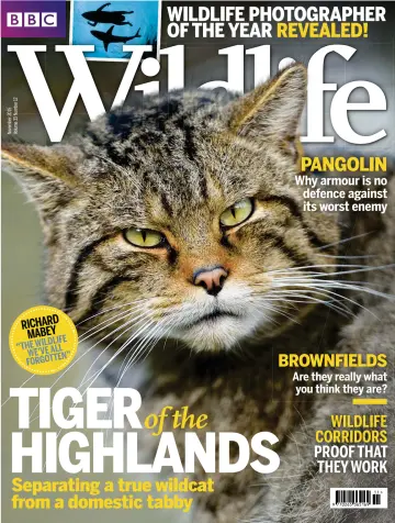 BBC Wildlife Magazine - 28 Oct 2015
