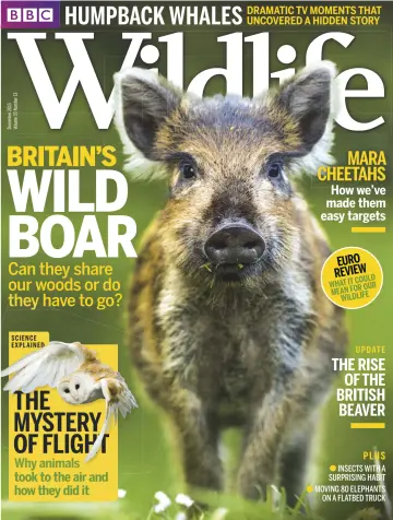 BBC Wildlife Magazine - 25 Nov 2015