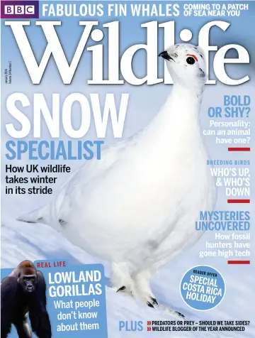 BBC Wildlife Magazine - 23 Dec 2015