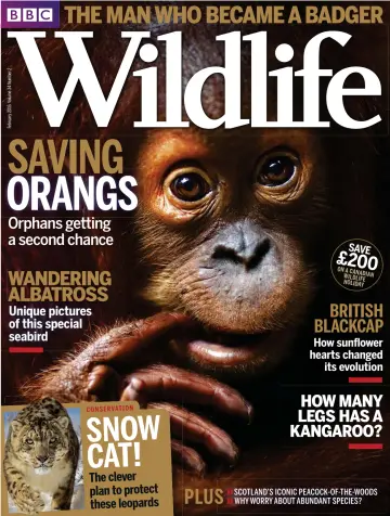 BBC Wildlife Magazine - 20 Jan 2016