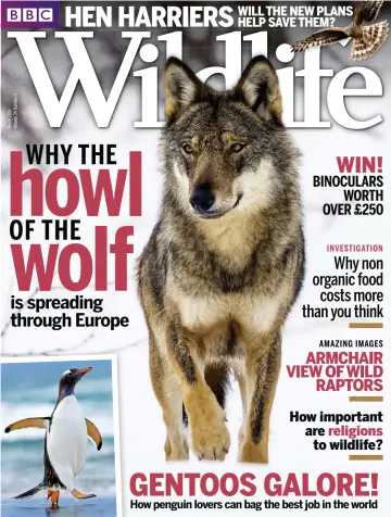 BBC Wildlife Magazine - 17 Feb 2016