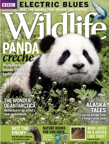 BBC Wildlife Magazine - 22 Nov 2017