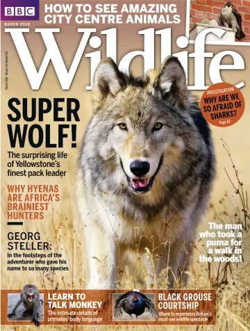 BBC Wildlife Magazine - 14 Feb 2018
