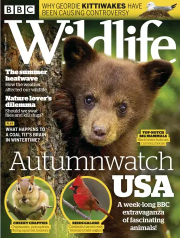 BBC Wildlife Magazine - 26 Sep 2018