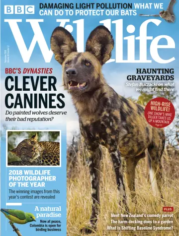 BBC Wildlife Magazine - 24 Oct 2018