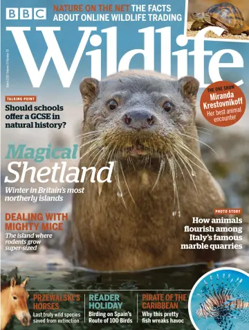 BBC Wildlife Magazine - 14 Feb 2019