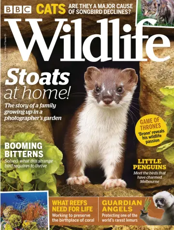 BBC Wildlife Magazine - 11 Apr 2019