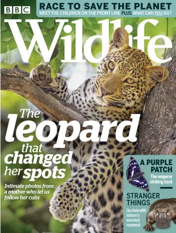 BBC Wildlife Magazine - 4 Jul 2019