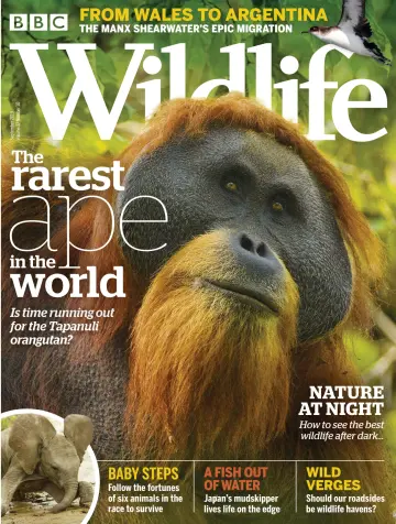 BBC Wildlife Magazine - 29 Aug 2019
