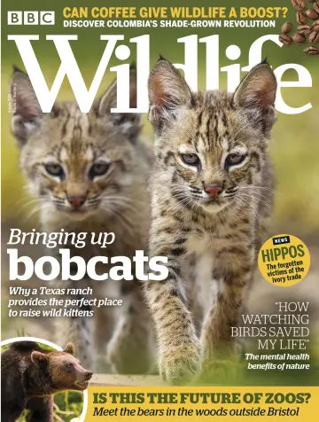 BBC Wildlife Magazine - 26 Sep 2019