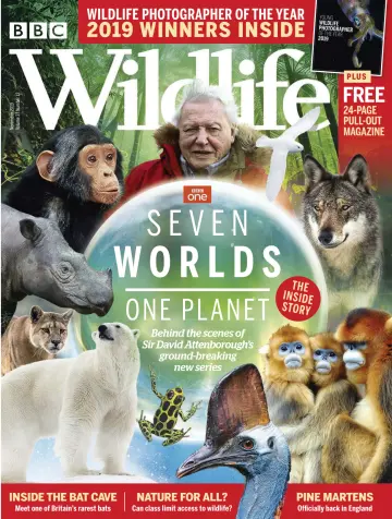 BBC Wildlife Magazine - 24 Oct 2019