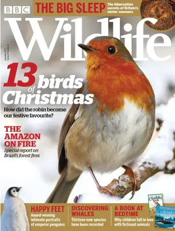 BBC Wildlife Magazine - 21 Nov 2019