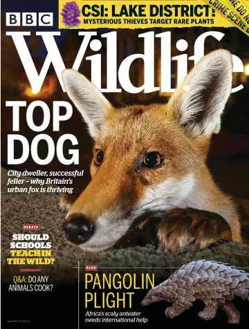 BBC Wildlife Magazine - 13 Feb 2020