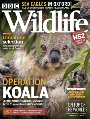 BBC Wildlife Magazine - 12 Mar 2020