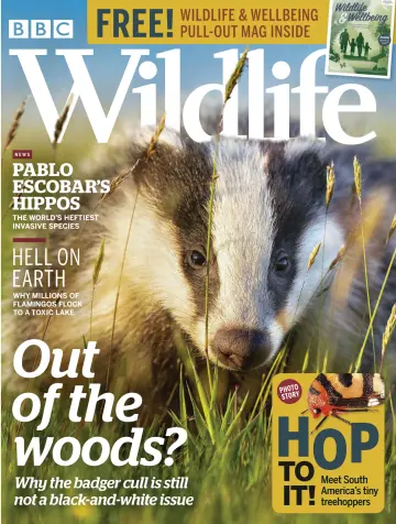 BBC Wildlife Magazine - 9 Apr 2020